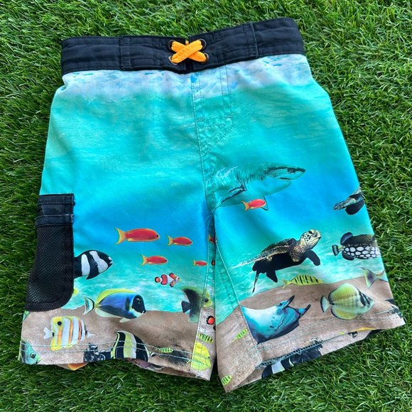 Wonder Nation XS Boys Trunks - Picture 1 of 5